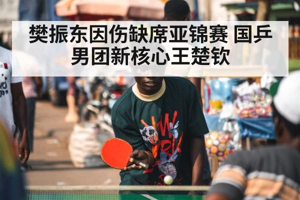 樊振东因伤缺席亚锦赛 国乒男团新核心王楚钦