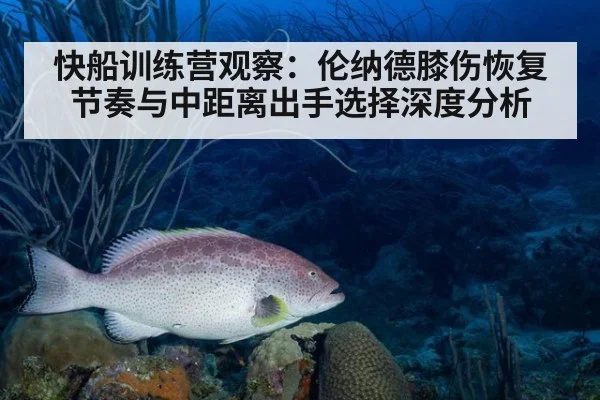 快船训练营观察：伦纳德膝伤恢复节奏与中距离出手选择深度分析